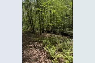 348 Hemlock Trail, Ellijay, GA 30540 - Photo 13