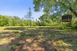 951 Canter Way, Jefferson, GA 30549 - Photo 81