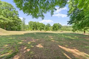 951 Canter Way, Jefferson, GA 30549 - Photo 73