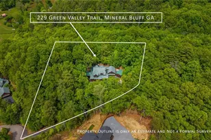 229 Grn Vly Trl, Mineral Bluff, GA 30559 - Photo 73