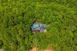 229 Grn Vly Trl, Mineral Bluff, GA 30559 - Photo 71