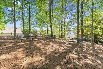 203 Morning Star Way, Ball Ground, GA 30107 - Photo 51
