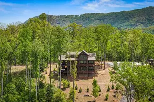 802 Overlook Dr, Blue Ridge, GA 30513 - Photo 9
