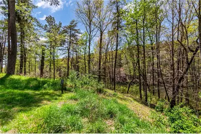 0 Overlook Drive, Ellijay, GA 30536 - Photo 13