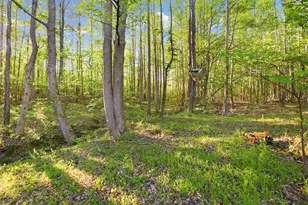 2239 Cross Roads Church Rd, Buchanan, GA 30113 - Photo 9
