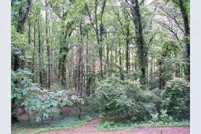 219 Park Avenue, Woodstock, GA 30188 - Photo 27