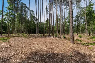 Trct 3 Pope Rd, Buchanan, GA 30113 - Photo 17