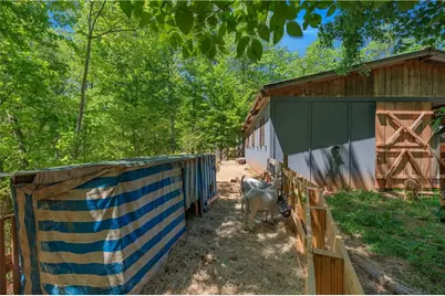 2383 Sperin Road, Ball Ground, GA 30107 - Photo 29