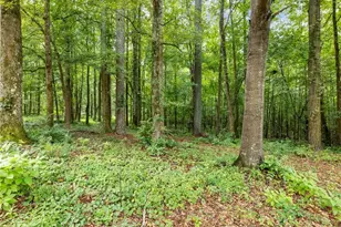 1334 Criswell Rd SE, Monroe, GA 30655 - Photo 33