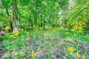 393 Edwards Rd, Oxford, GA 30054 - Photo 67