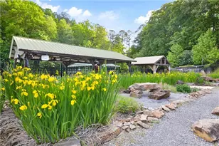 123 Pamela Ct, Ellijay, GA 30540 - Photo 65