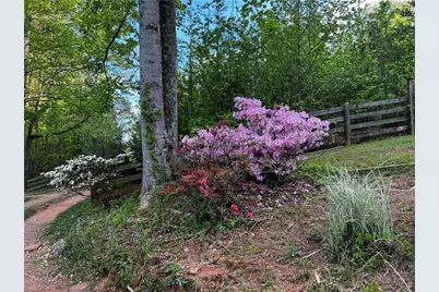 221 Muscadine Road, Dahlonega, GA 30533 - Photo 67