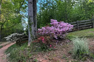 221 Muscadine Rd, Dahlonega, GA 30533 - Photo 67