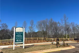 6135 Peaceful Grove (Lot 48) Dr, Cumming, GA 30041 - Photo 61