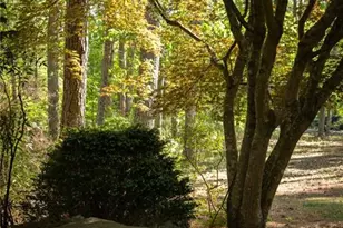 8355 Cedar Grove Rd, Fairburn, GA 30213 - Photo 35