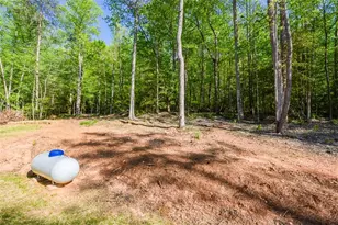 258 Rocky Holw Rd, Ellijay, GA 30536 - Photo 41