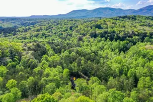 258 Rocky Holw Rd, Ellijay, GA 30536 - Photo 55