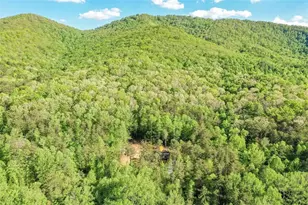 258 Rocky Holw Rd, Ellijay, GA 30536 - Photo 57