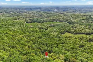 252 Oglethorpe Mountain Trail, Jasper, GA 30143 - Photo 41