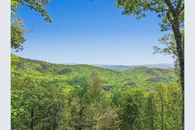 1488 Walnut Ridge, Ellijay, GA 30536 - Photo 49