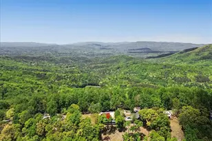 1488 Walnut Ridge, Ellijay, GA 30536 - Photo 51