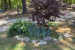 5655 Blackjack Rd, Flowery Branch, GA 30542 - Photo 31