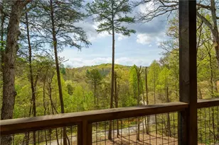 250 Wolf Creek Circle, Mineral Bluff, GA 30559 - Photo 45
