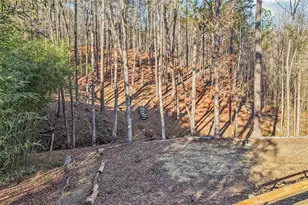 744 Narroway Trail, Dallas, GA 30132 - Photo 49