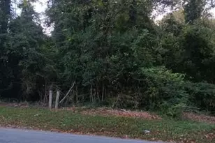 0 Peyton Rd SW, Atlanta, GA 30311 - Photo 1