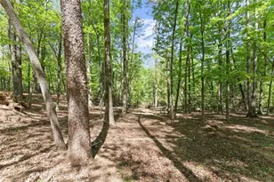 45 Holcomb Dr, Cleveland, GA 30528 - Photo 73
