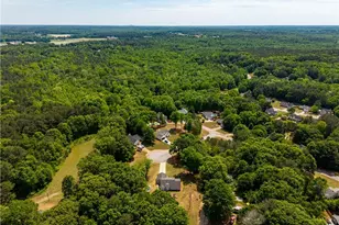 110 Morrow Ct, Bethlehem, GA 30620 - Photo 35