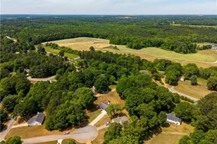110 Morrow Ct, Bethlehem, GA 30620 - Photo 37