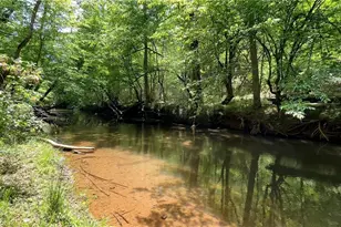 25 Mountain Creek Trail NE, Fairmount, GA 30139 - Photo 53