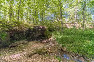 2513 Carleton Gold Rd, Dacula, GA 30019 - Photo 41