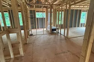 3127 Wild Clary Ct Lot 46, Buford, GA 30519 - Photo 33