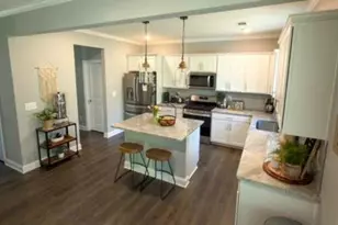 832 Brown Thrasher Way, Bremen, GA 30110 - Photo 7
