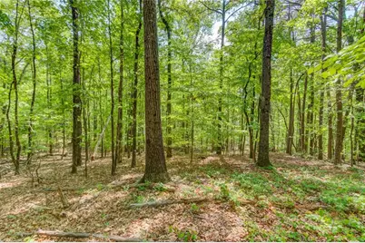 1051 Riverside Road, Sugar Hill, GA 30518 - Photo 77