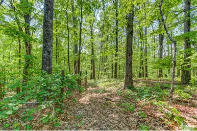 1051 Riverside Road, Sugar Hill, GA 30518 - Photo 75