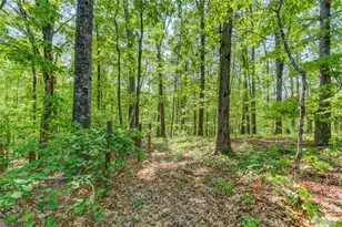1051 Riverside Rd, Sugar Hill, GA 30518 - Photo 75