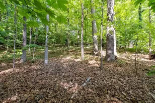 395 Nottingham Dr, Marietta, GA 30066 - Photo 41