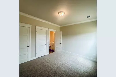 356 Scarlett Rose Way, Hoschton, GA 30548 - Photo 13