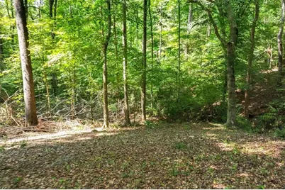 1580 Bob Godfrey Road, Athens, GA 30605 - Photo 63