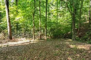1580 Bob Godfrey Rd, Athens, GA 30605 - Photo 63