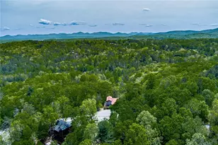 88 Black Gum Ln, Blue Ridge, GA 30513 - Photo 67