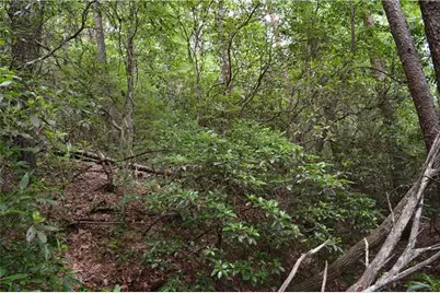 20 Goldmine Drive, Ellijay, GA 30536 - Photo 7