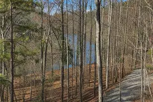 245 Moonstone Dr, Ellijay, GA 30540 - Photo 3