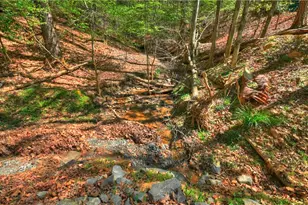 245 Moonstone Dr, Ellijay, GA 30540 - Photo 53