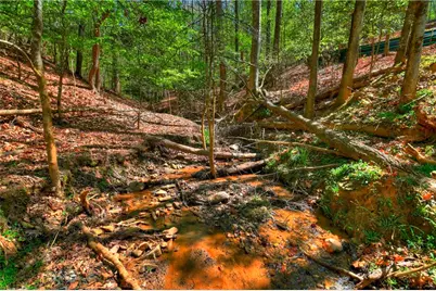 245 Moonstone Drive, Ellijay, GA 30540 - Photo 53