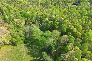 6668 Belton Bridge Rd, Lula, GA 30554 - Photo 7