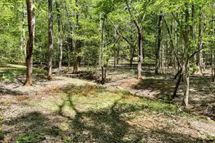151 Woodbrier, Sautee Nacoochee, GA 30571 - Photo 43